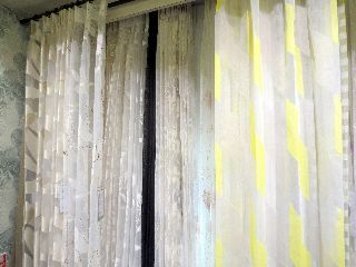 デザインレース
